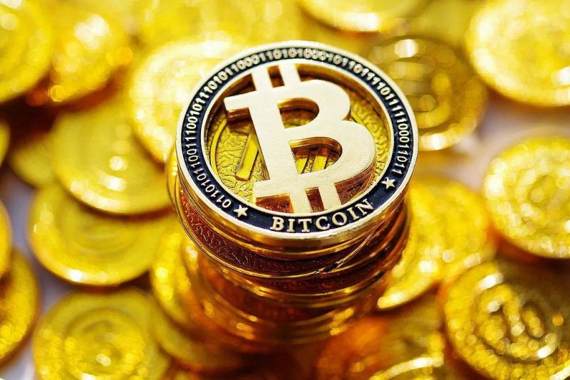 破译蚂蚁社会“文明”的基因口令